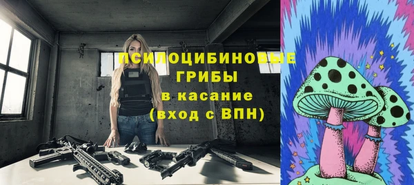 шишки Вязьма